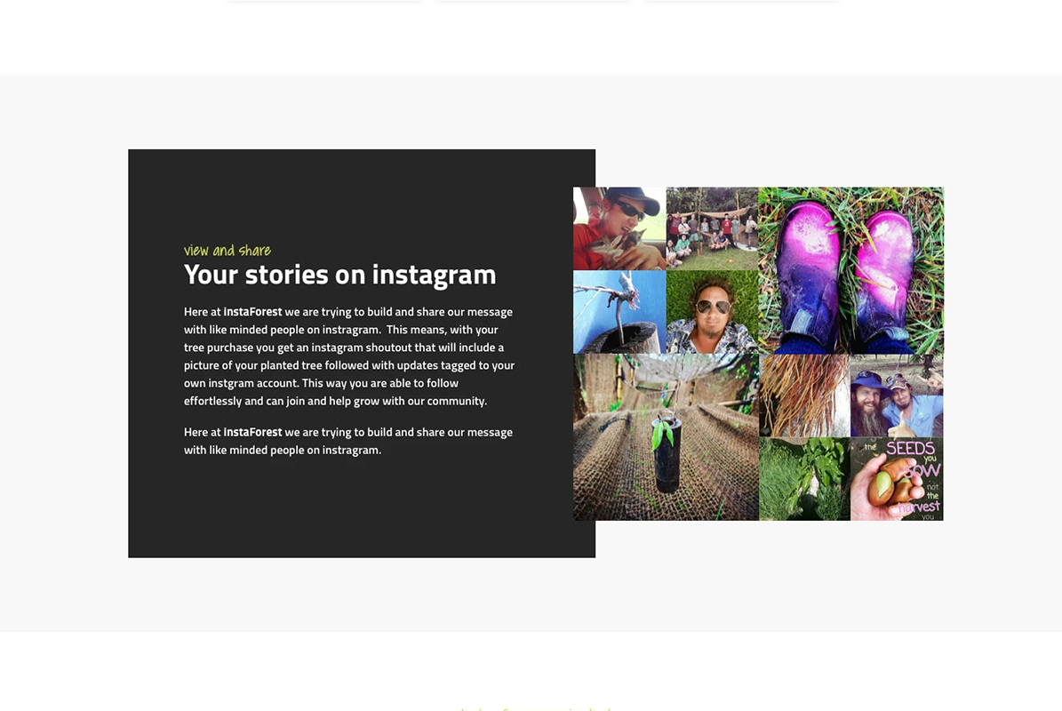 Portfolio Layout - InstaForest Social Section