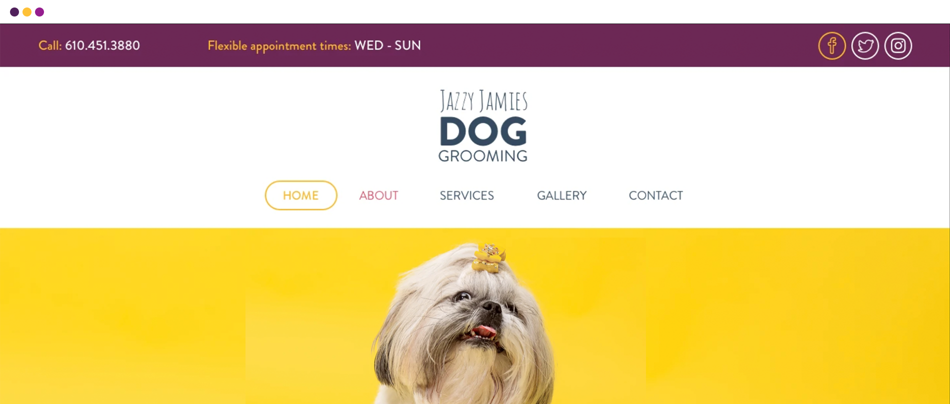 Portfolio Single Page Header - Jazzy Jamie